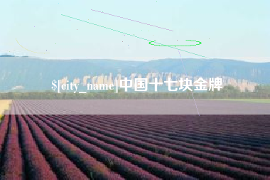 天水中国十七块金牌