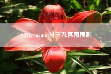 天水排三九宫图预测
