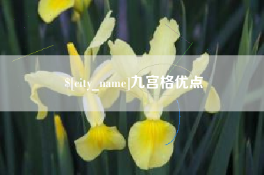 天水九宫格优点