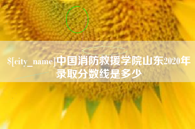 天水中国消防救援学院山东2020年录取分数线是多少
