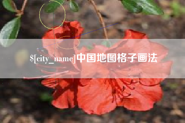 天水中国地图格子画法