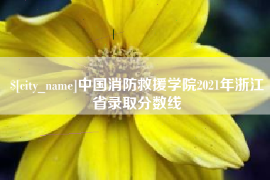 天水中国消防救援学院2021年浙江省录取分数线