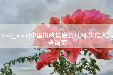天水中国执政信息公开网-失信人员查询页