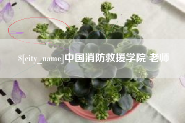 天水中国消防救援学院 老师