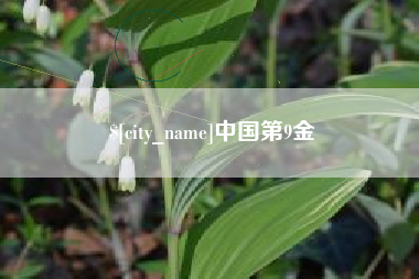 天水中国第9金