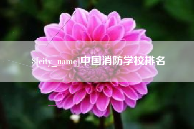天水中国消防学校排名