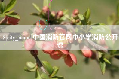 天水中国消防官网中小学消防公开课