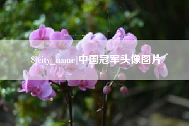 天水中国冠军头像图片
