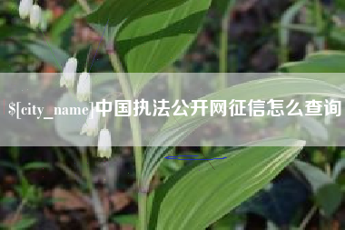 天水中国执法公开网征信怎么查询