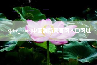 天水中国消防网官网入口网址