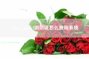 天水消防证怎么查询系统