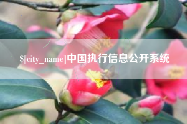 天水中国执行信息公开系统