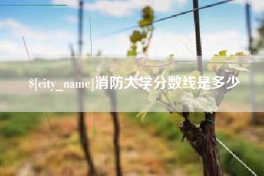 天水消防大学分数线是多少