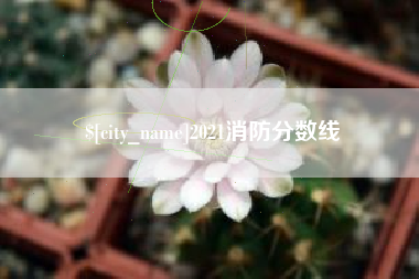 天水2021消防分数线