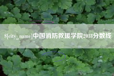 天水中国消防救援学院2018分数线