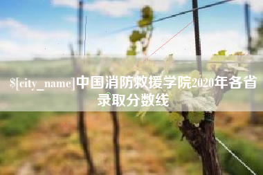 天水中国消防救援学院2020年各省录取分数线