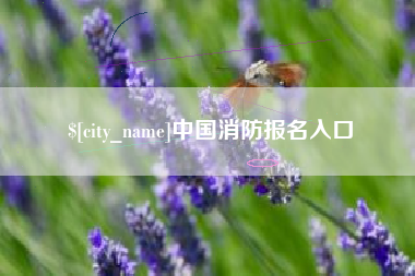 天水中国消防报名入口