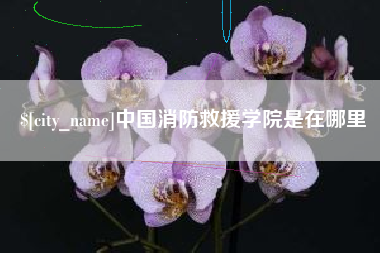 天水中国消防救援学院是在哪里