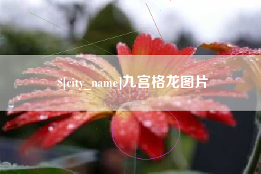 天水九宫格龙图片
