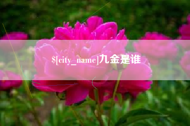 天水九金是谁