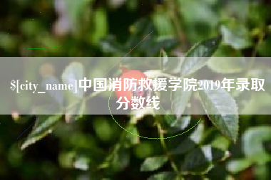 天水中国消防救援学院2019年录取分数线