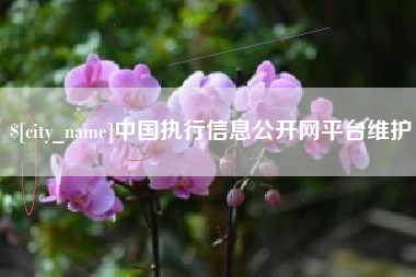 天水中国执行信息公开网平台维护