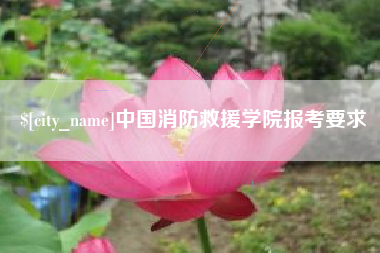 天水中国消防救援学院报考要求
