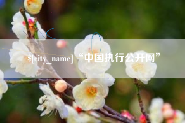天水“中国执行公开网”