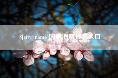 天水国家消防报名入口