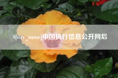 天水中国执行信息公开网后