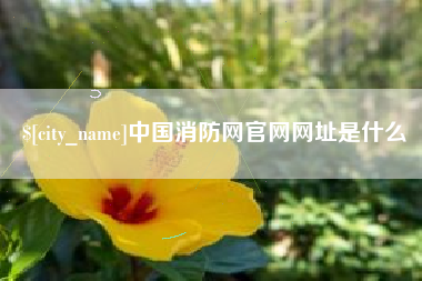 天水中国消防网官网网址是什么