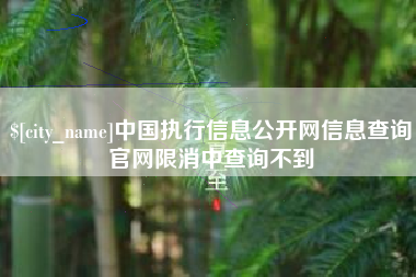 天水中国执行信息公开网信息查询官网限消中查询不到