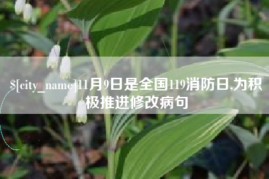 天水11月9日是全国119消防日,为积极推进修改病句