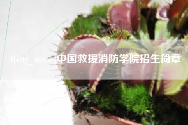 天水中国救援消防学院招生简章