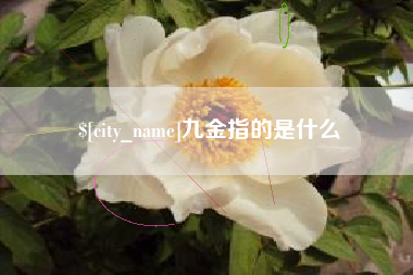 天水九金指的是什么
