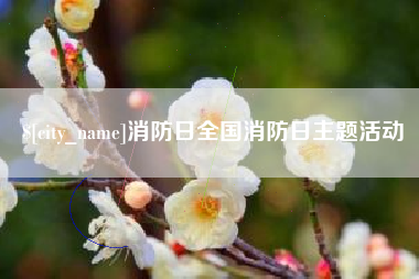 天水消防日全国消防日主题活动