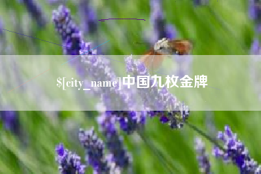 天水中国九枚金牌