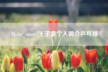 天水王子豪个人简介乒乓球