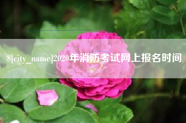 天水2020年消防考试网上报名时间