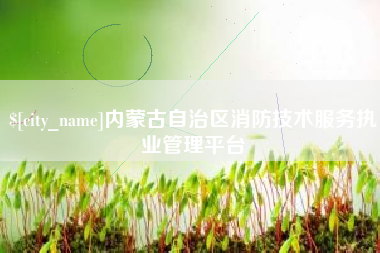 天水内蒙古自治区消防技术服务执业管理平台