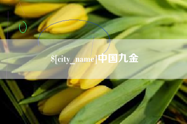 天水中国九金