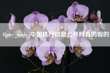 天水中国执行信息公开网真的假的