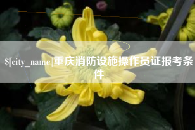 天水重庆消防设施操作员证报考条件