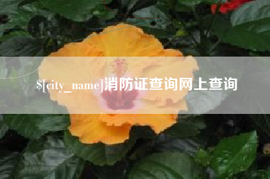 天水消防证查询网上查询