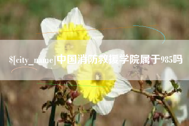天水中国消防救援学院属于985吗