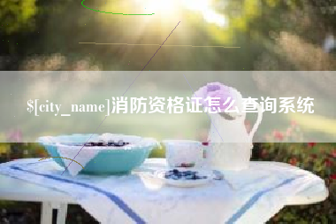 天水消防资格证怎么查询系统