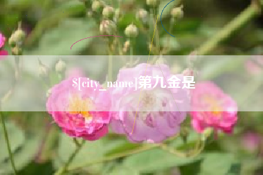 天水第九金是