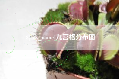 天水九宫格分布图