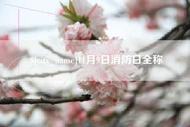 天水11月9日消防日全称