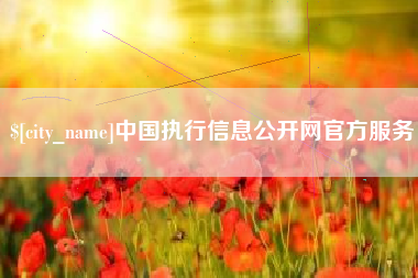 天水中国执行信息公开网官方服务